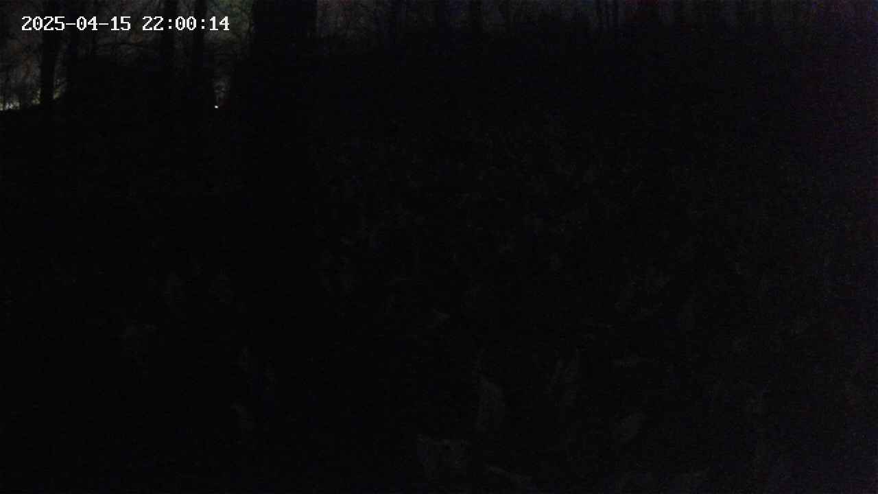 mizubasho1-20250415220015.jpg