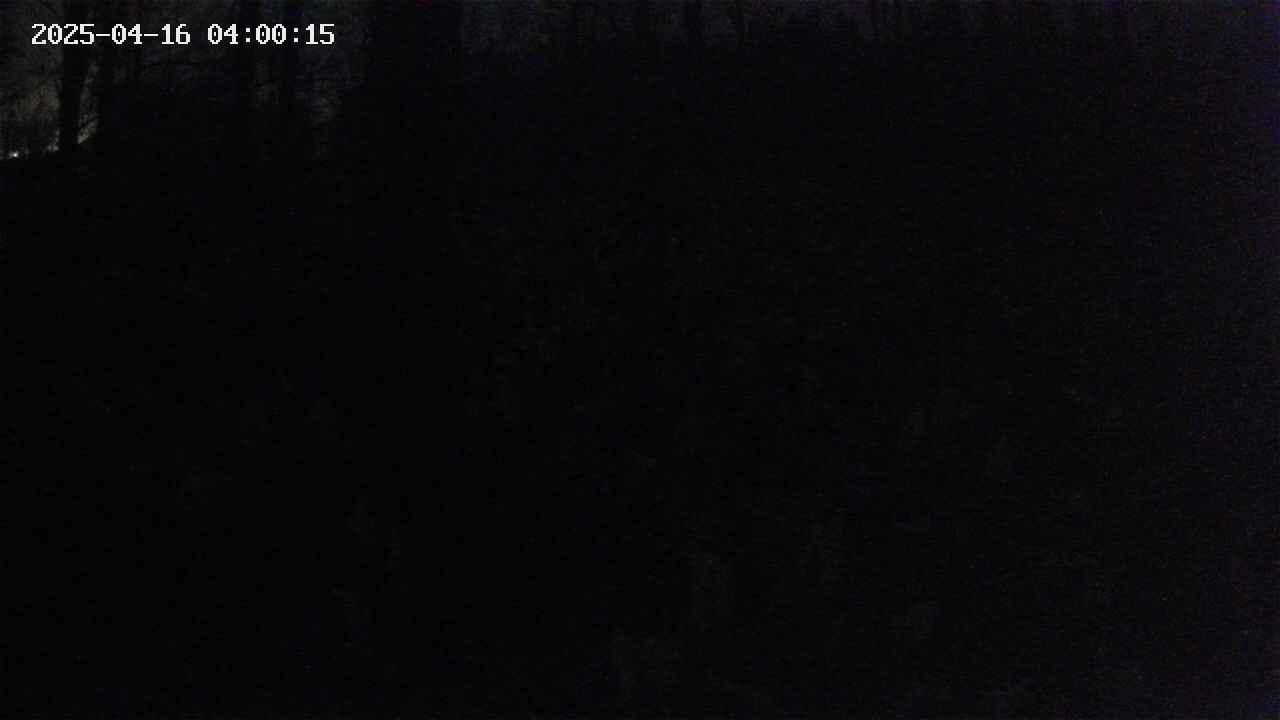 mizubasho1-20250416040015.jpg