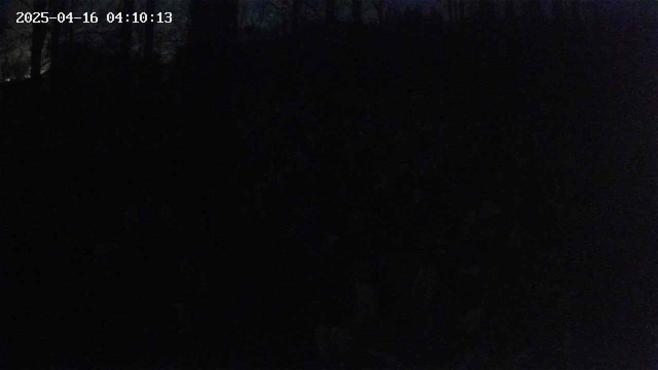 mizubasho1-20250416041014.jpg