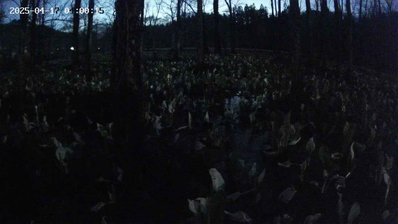 mizubasho1-20250417040016.jpg