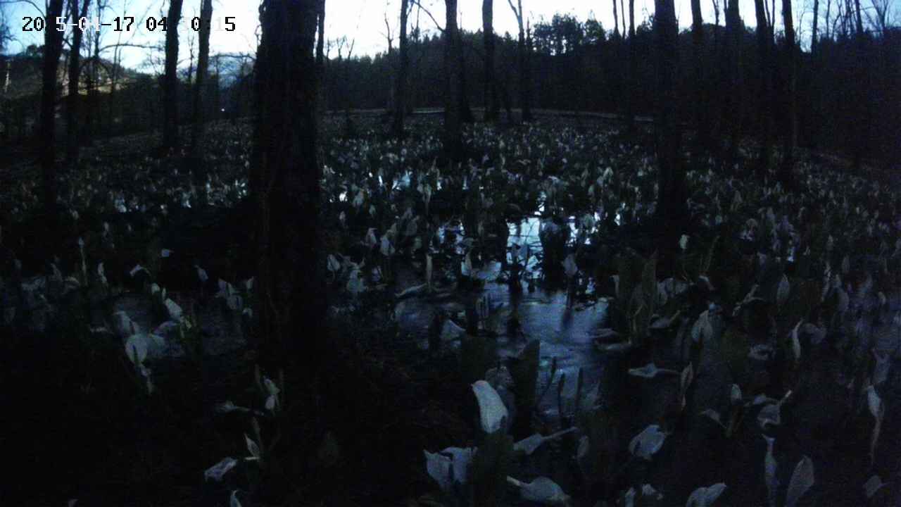 mizubasho1-20250417041016.jpg