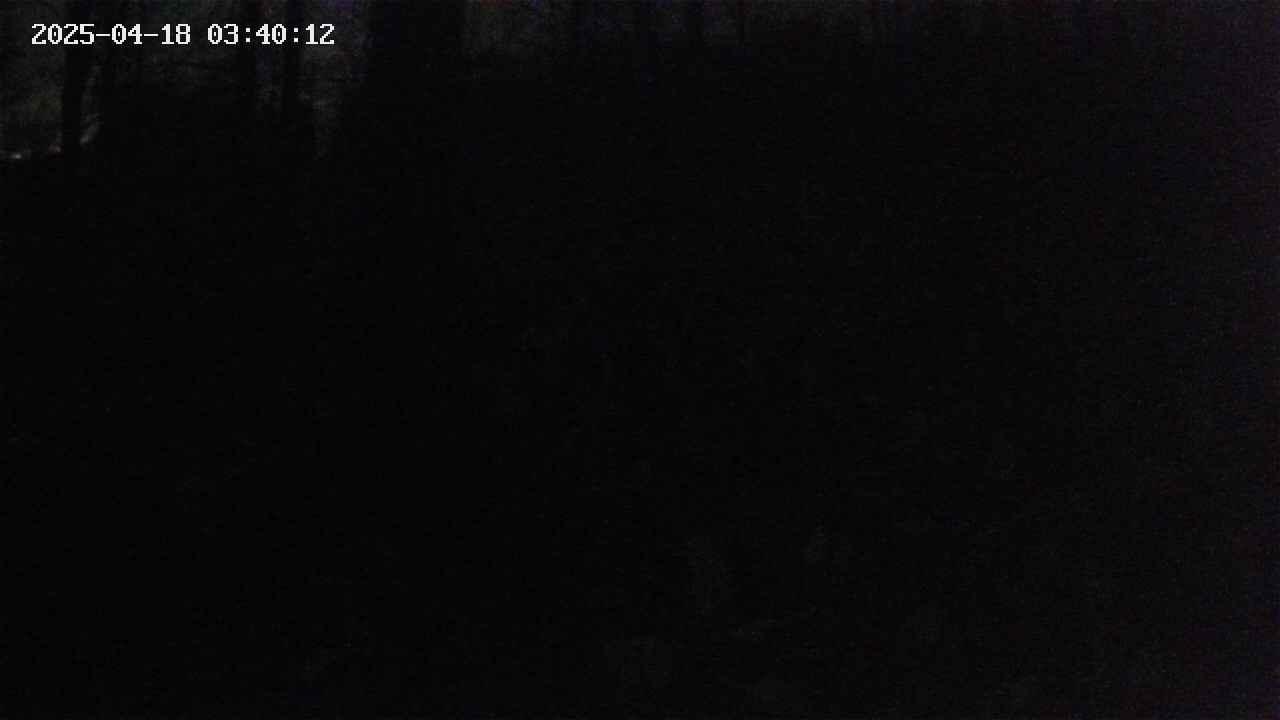 mizubasho1-20250418034013.jpg