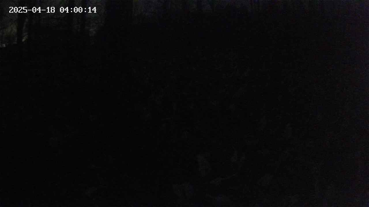 mizubasho1-20250418040015.jpg
