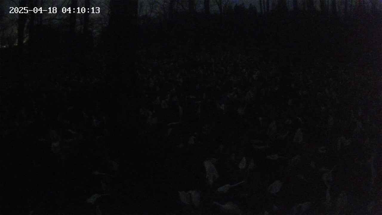 mizubasho1-20250418041015.jpg