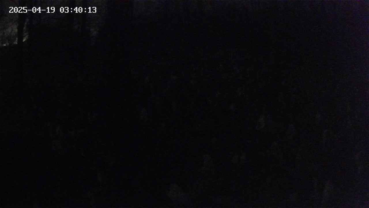 mizubasho1-20250419034014.jpg