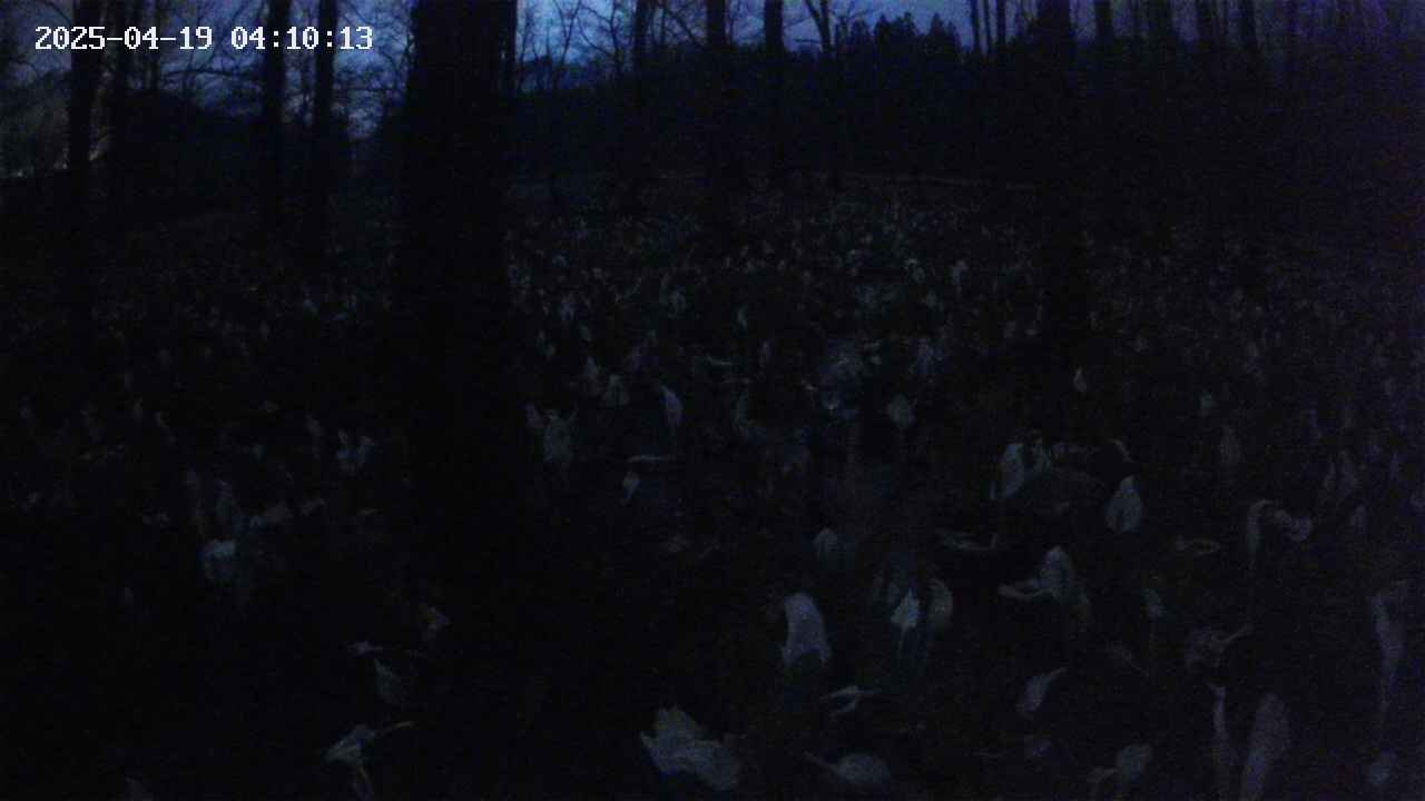 mizubasho1-20250419041014.jpg