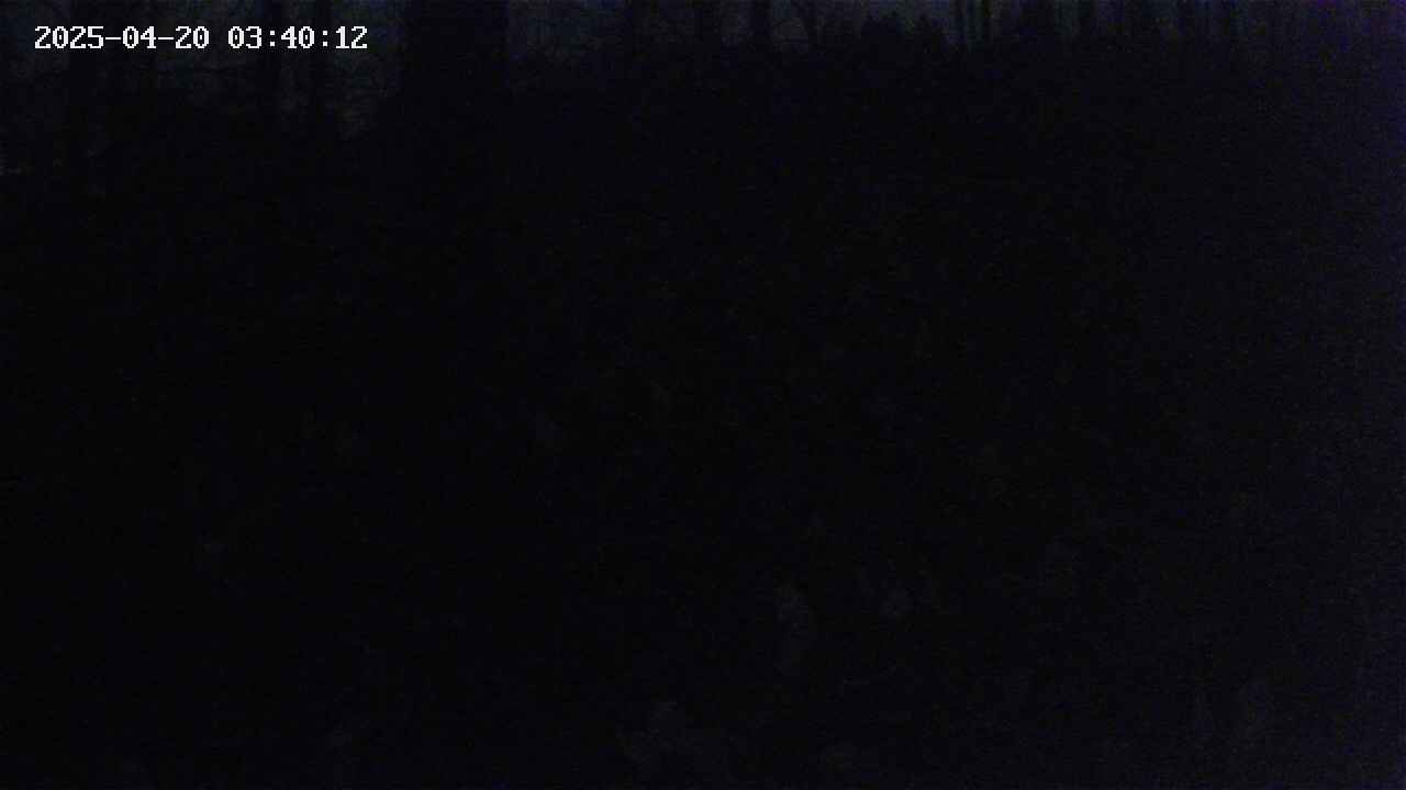 mizubasho1-20250420034013.jpg