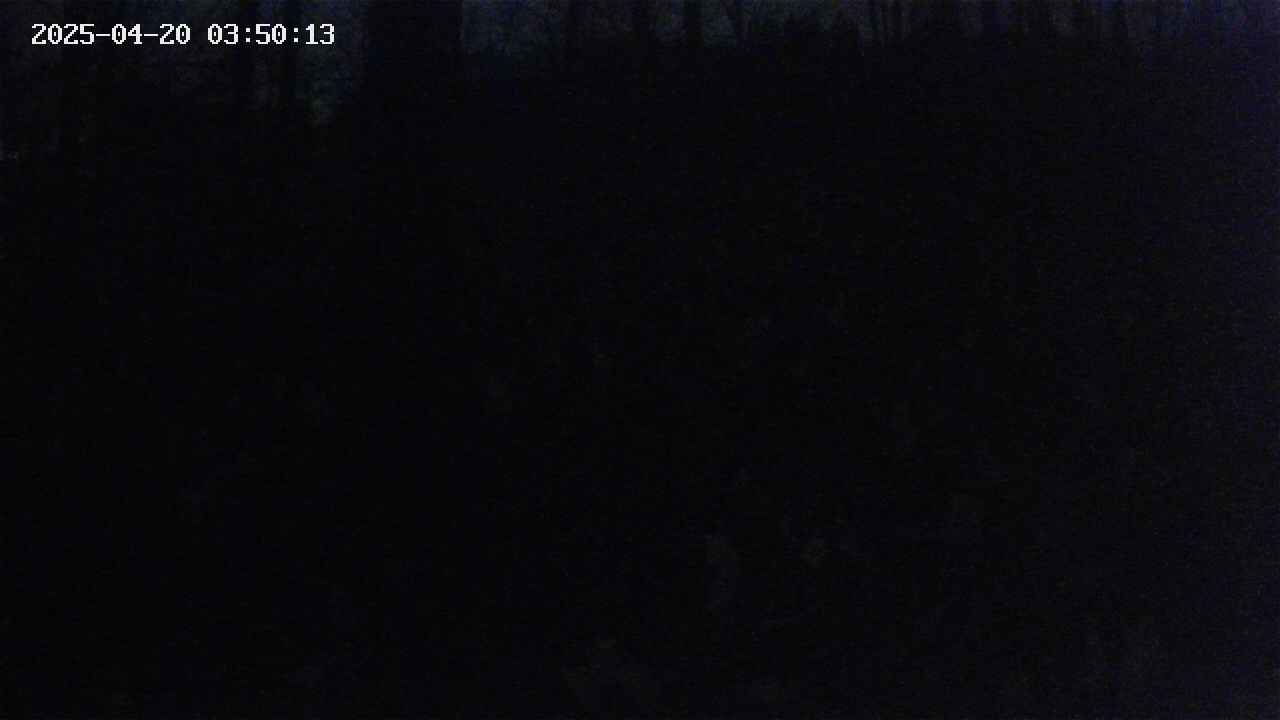 mizubasho1-20250420035015.jpg