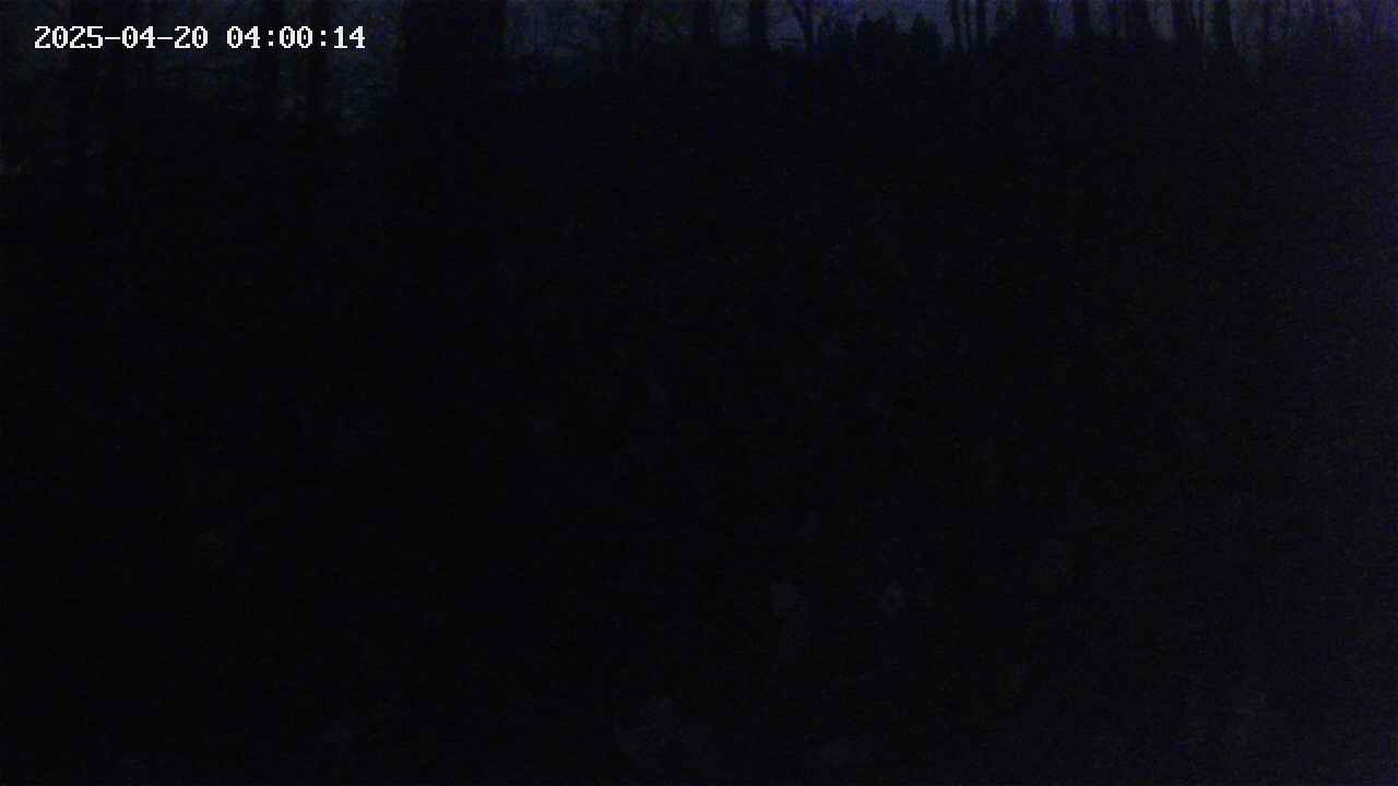 mizubasho1-20250420040015.jpg