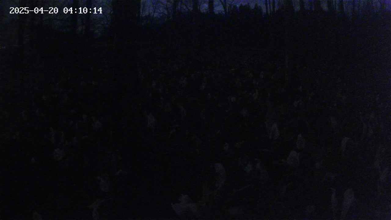 mizubasho1-20250420041015.jpg