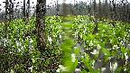 mizubasho1-20250420081016.jpg