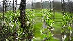 mizubasho1-20250420123020.jpg