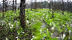 mizubasho1-20250420141018.jpg