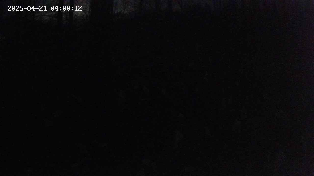 mizubasho1-20250421040013.jpg