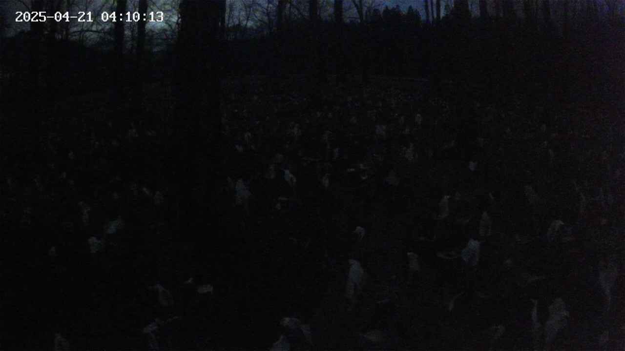 mizubasho1-20250421041014.jpg