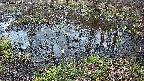mizubasho2-20240404052044.jpg
