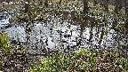 mizubasho2-20240404093036.jpg