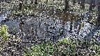 mizubasho2-20240404103035.jpg