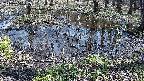 mizubasho2-20240404122040.jpg