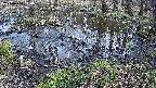 mizubasho2-20240404140030.jpg