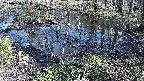 mizubasho2-20240404145040.jpg