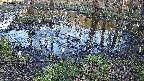 mizubasho2-20240404170033.jpg