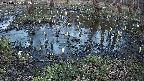 mizubasho2-20240404182030.jpg