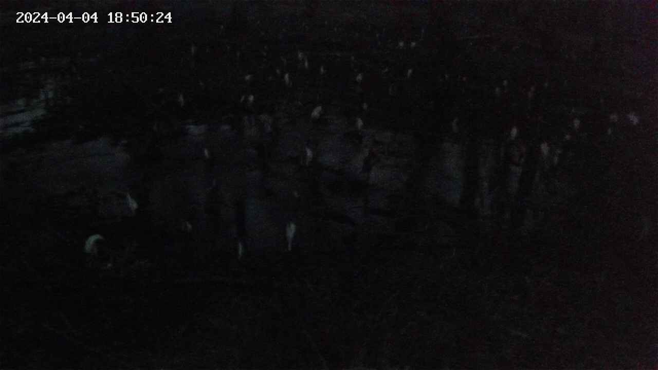 mizubasho2-20240404185026.jpg