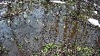 mizubasho2-20250403094029.jpg