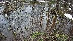 mizubasho2-20250403095029.jpg