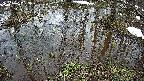 mizubasho2-20250403103032.jpg