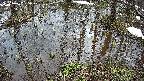 mizubasho2-20250403105030.jpg