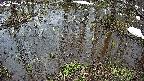 mizubasho2-20250403112030.jpg