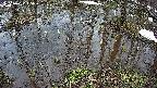mizubasho2-20250403115027.jpg