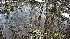 mizubasho2-20250403120031.jpg