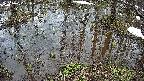 mizubasho2-20250403121031.jpg