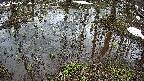 mizubasho2-20250403130029.jpg