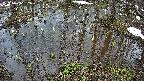 mizubasho2-20250403132030.jpg