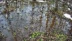 mizubasho2-20250403133030.jpg