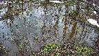 mizubasho2-20250403135030.jpg