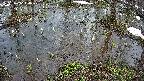 mizubasho2-20250403140029.jpg