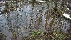 mizubasho2-20250403145030.jpg