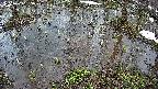 mizubasho2-20250403155029.jpg