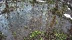 mizubasho2-20250403172030.jpg