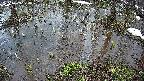 mizubasho2-20250403174030.jpg