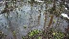mizubasho2-20250403175029.jpg