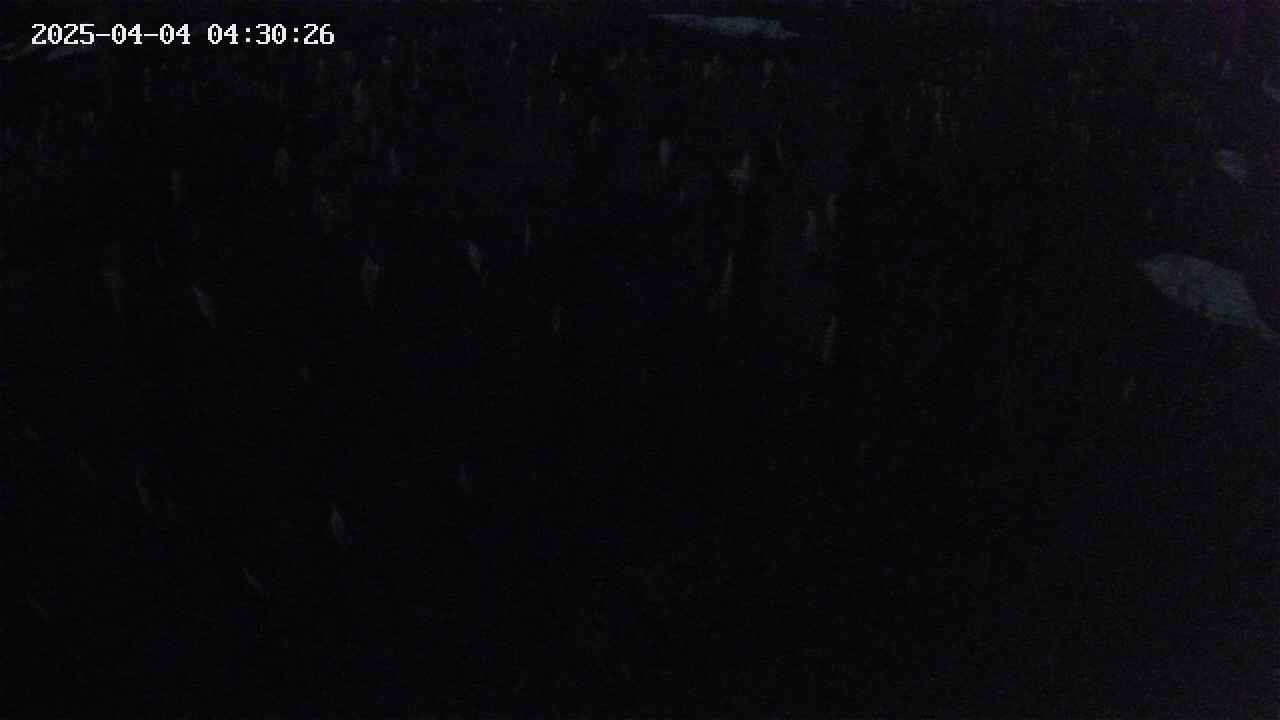 mizubasho2-20250404043027.jpg