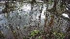mizubasho2-20250404080031.jpg