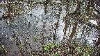 mizubasho2-20250404110030.jpg