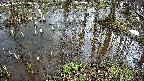 mizubasho2-20250404133027.jpg